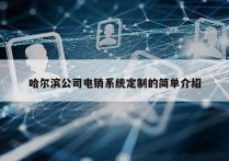 哈尔滨公司电销系统定制的简单介绍