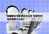 金融行业电销系统怎么样 电销外呼
（金融电销是做什么的）