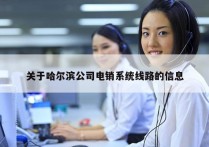 关于哈尔滨公司电销系统线路的信息