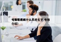 电销系统叫什么系统名字 电销
（电销系统介绍）