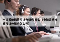 电销系统标签可以分组吗 排名（电销系统标签可以分组吗怎么弄）