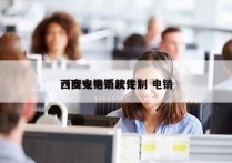 西安电销系统定制 电销
（西安电销软件）