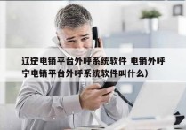 辽宁电销平台外呼系统软件 电销外呼
（辽宁电销平台外呼系统软件叫什么）