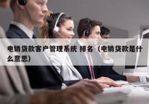 电销贷款客户管理系统 排名（电销贷款是什么意思）