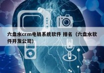 六盘水crm电销系统软件 排名（六盘水软件开发公司）