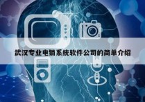 武汉专业电销系统软件公司的简单介绍