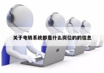 关于电销系统都是什么岗位的的信息