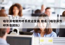 哈尔滨电销外呼系统运营商 排名（哈尔滨外呼外包团队）