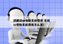 武汉crm电销系统费用 系统
（武汉crm电销系统费用怎么算）