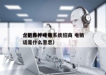 合肥外呼电销系统招商 电销
（招商外呼电话是什么意思）