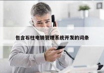 包含石柱电销管理系统开发的词条