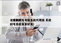 北京防封号电销系统代理商 系统
（电销防封号系统有多好用）