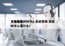 青岛电销呼叫中心系统费用 系统
（电销呼叫中心是什么）