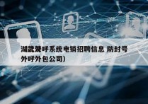 湖北外呼系统电销招聘信息 防封号
（武汉外呼外包公司）