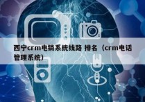 西宁crm电销系统线路 排名（crm电话管理系统）