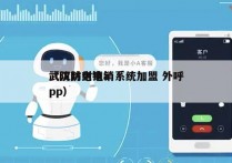 武汉防封电销系统加盟 外呼
（防封电销app）