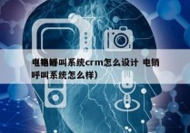 电销呼叫系统crm怎么设计 电销
（电销呼叫系统怎么样）