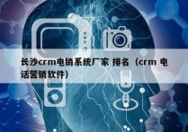 长沙crm电销系统厂家 排名（crm 电话营销软件）