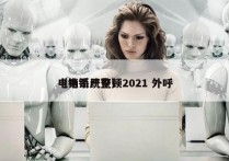 电销系统整顿2021 外呼
（电销严查）