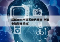 武汉crm电销系统代理商 电销
（crm电销管理系统）