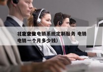 北京企业电销系统定制服务 电销
（北京做电销一个月多少钱）