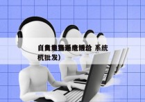 自贡电销系统报价 系统
（自贡直通电话总机批发）