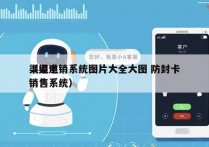 渠道电销系统图片大全大图 防封卡
（渠道销售系统）