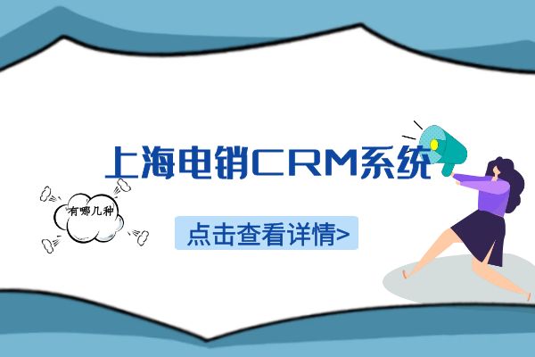 上海电销CRM系统有哪几种？