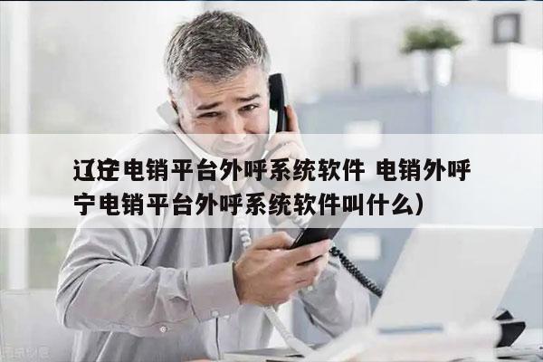 辽宁电销平台外呼系统软件 电销外呼
（辽宁电销平台外呼系统软件叫什么）