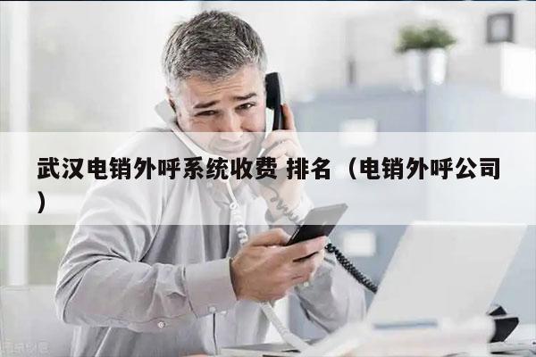 武汉电销外呼系统收费 排名（电销外呼公司）