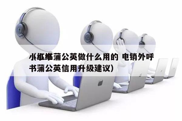 小红书蒲公英做什么用的 电销外呼
（小红书蒲公英信用升级建议）