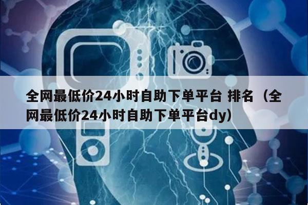 全网最低价24小时自助下单平台 排名（全网最低价24小时自助下单平台dy）