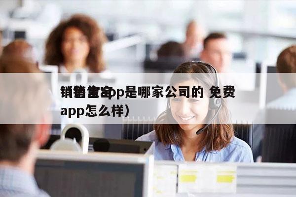 销售宝app是哪家公司的 免费
（销售宝app怎么样）