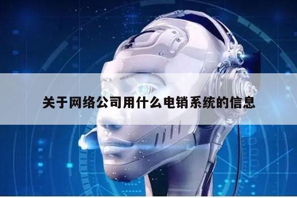 关于网络公司用什么电销系统的信息