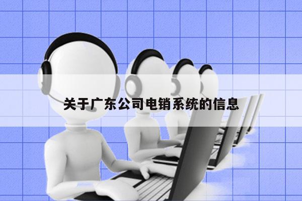 关于广东公司电销系统的信息