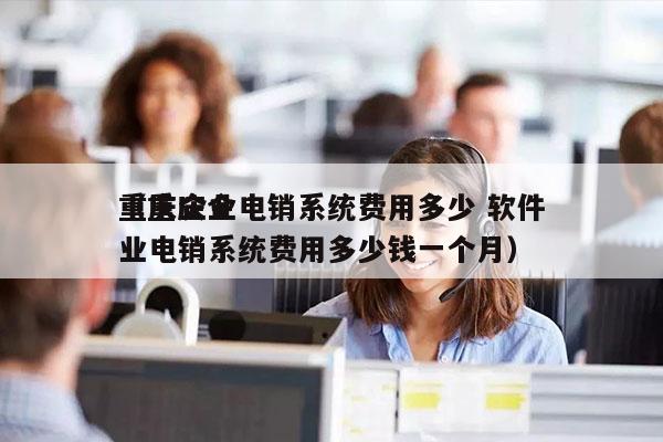 重庆企业电销系统费用多少 软件
（重庆企业电销系统费用多少钱一个月）