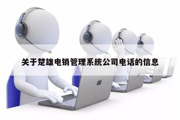 关于楚雄电销管理系统公司电话的信息