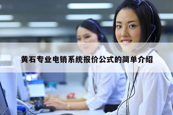 黄石专业电销系统报价公式的简单介绍