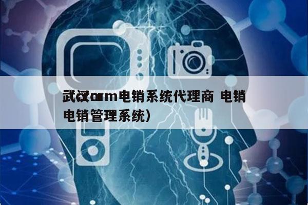 武汉crm电销系统代理商 电销
（crm电销管理系统）