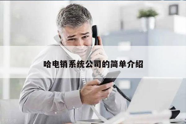 哈电销系统公司的简单介绍