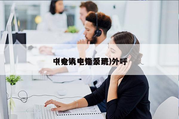 中介人电销系统 外呼
（电销中介公司）