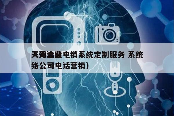 天津企业电销系统定制服务 系统
（天津网络公司电话营销）