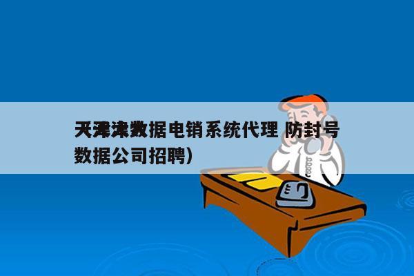 天津大数据电销系统代理 防封号
（天津大数据公司招聘）