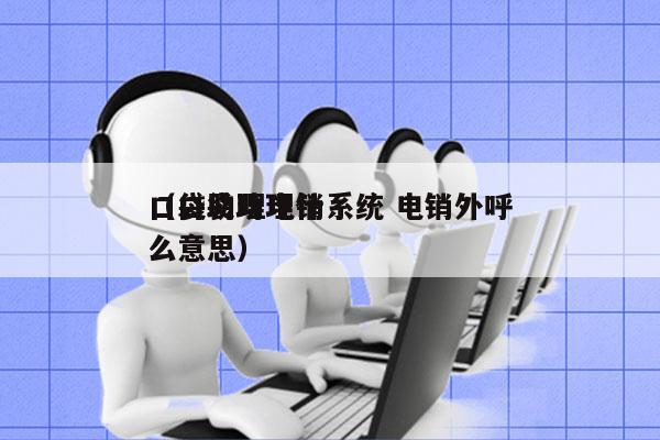 口袋助理电销系统 电销外呼
（口袋助理什么意思）