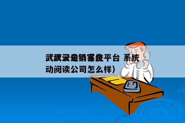 武汉云电销系统平台 系统
（武汉云销客自动阅读公司怎么样）