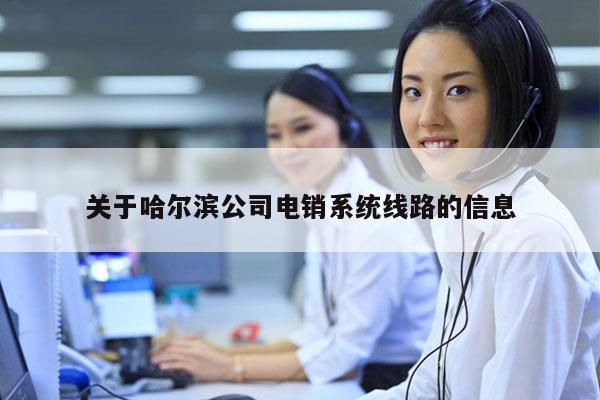 关于哈尔滨公司电销系统线路的信息