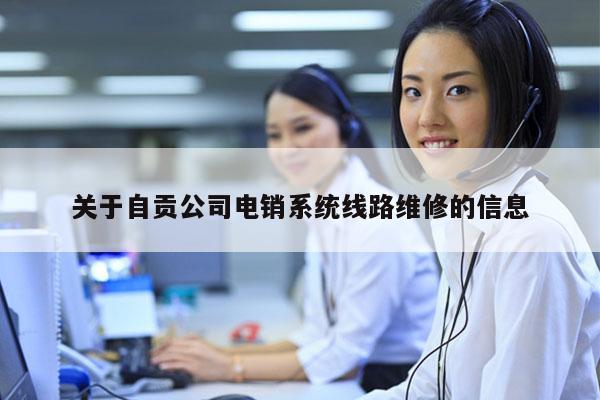 关于自贡公司电销系统线路维修的信息