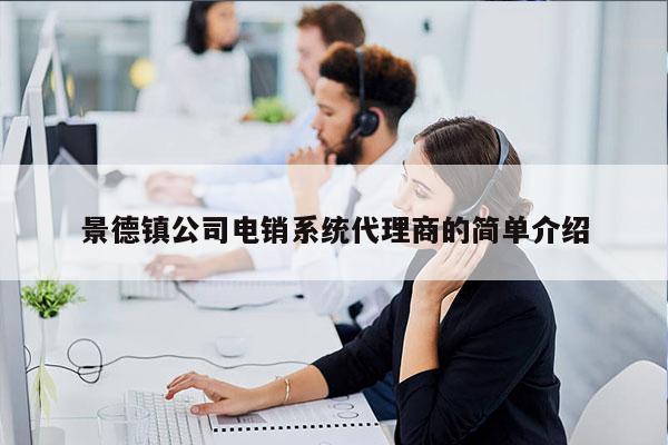 景德镇公司电销系统代理商的简单介绍