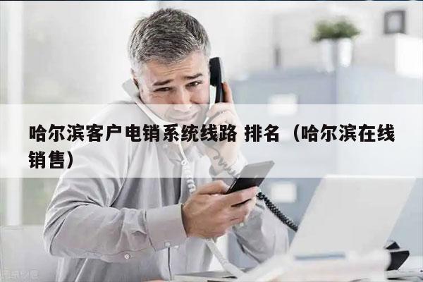 哈尔滨客户电销系统线路 排名（哈尔滨在线销售）