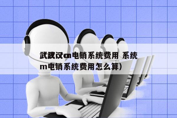 武汉crm电销系统费用 系统
（武汉crm电销系统费用怎么算）